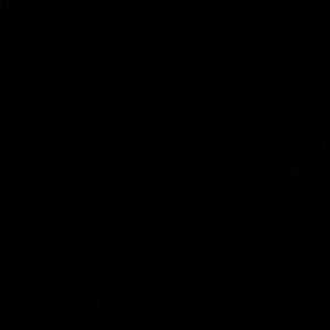 Meet your Posher, Vani